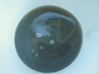 1404979706016.jpg