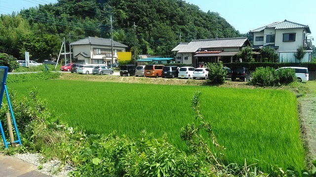 うなぎ3.jpg