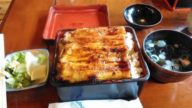 うなぎ5.jpg