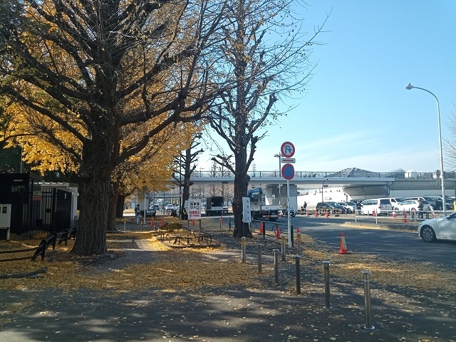 駒沢公園画像.jpg