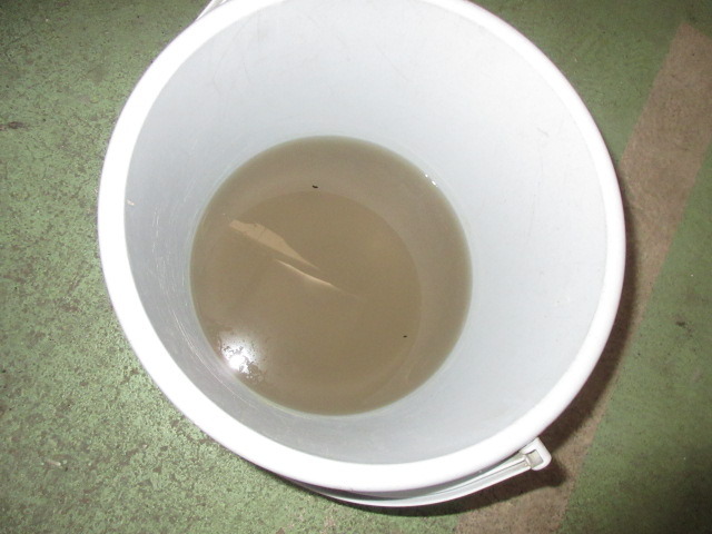 IMG_0800.JPG
